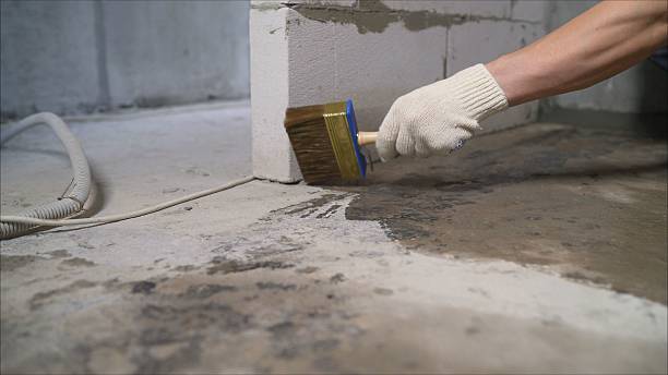 SJ Waterproofing Pros Waterproofing coverage map for Napoleon, MI and surrounding area